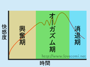 女性のオーガズム曲線と反応周期